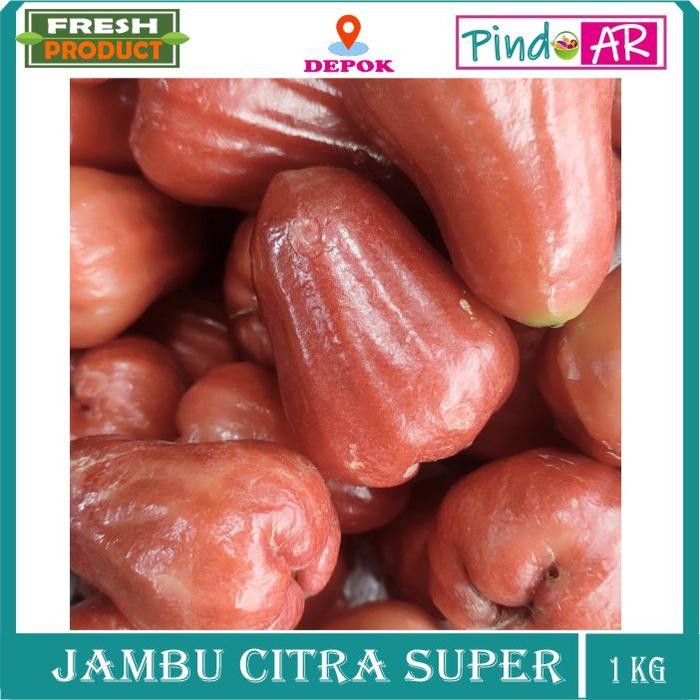 

Pilihan- Jambu Air Citra Segar Berkualitas 1Kg Buah Segar