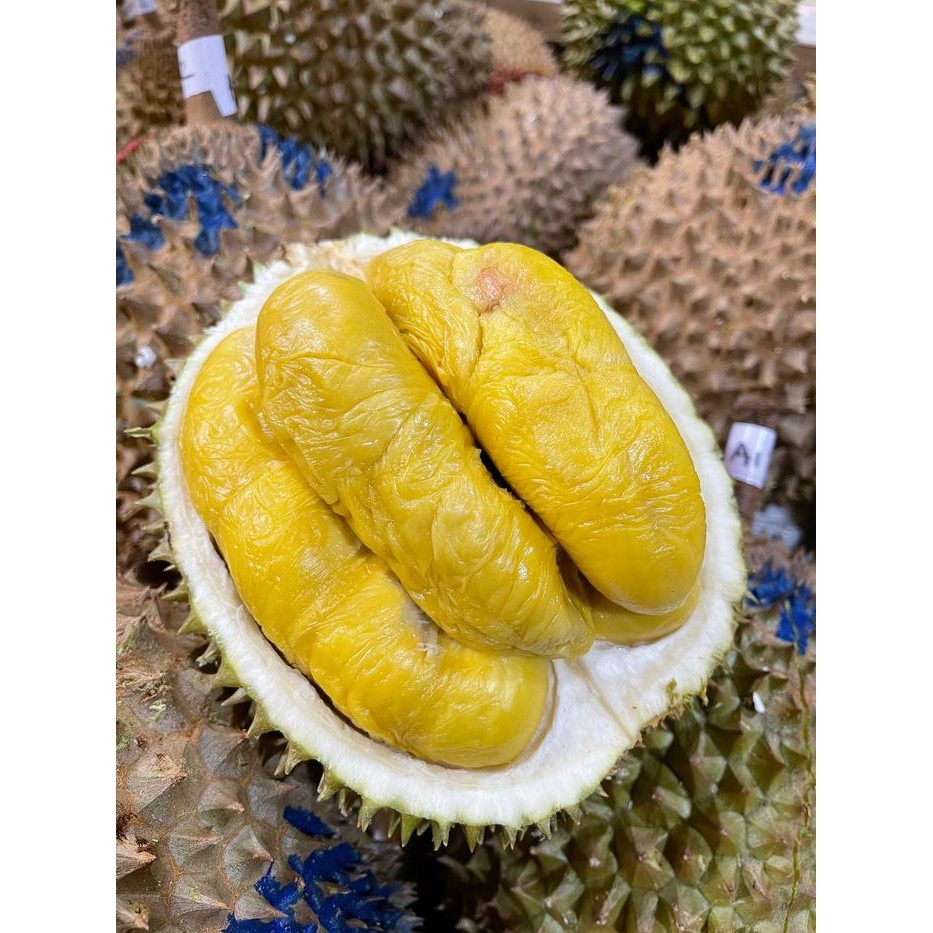 Pilihan- Durian Musang King Utuh Bulat