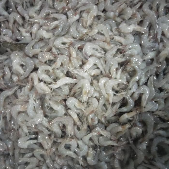 Instanbisa- Udang Peci Alus / Kecil 1Kg