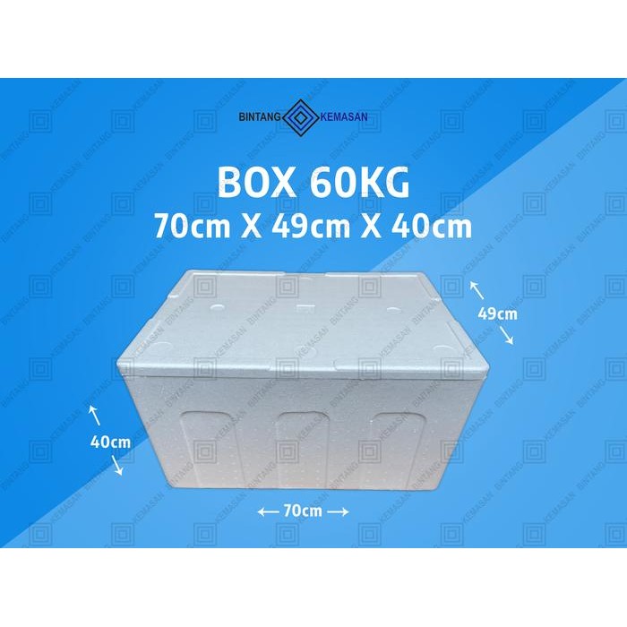 Styrofoam Box 60Kg 70 X 49 X 40Cm Box Foam Pasti Ori