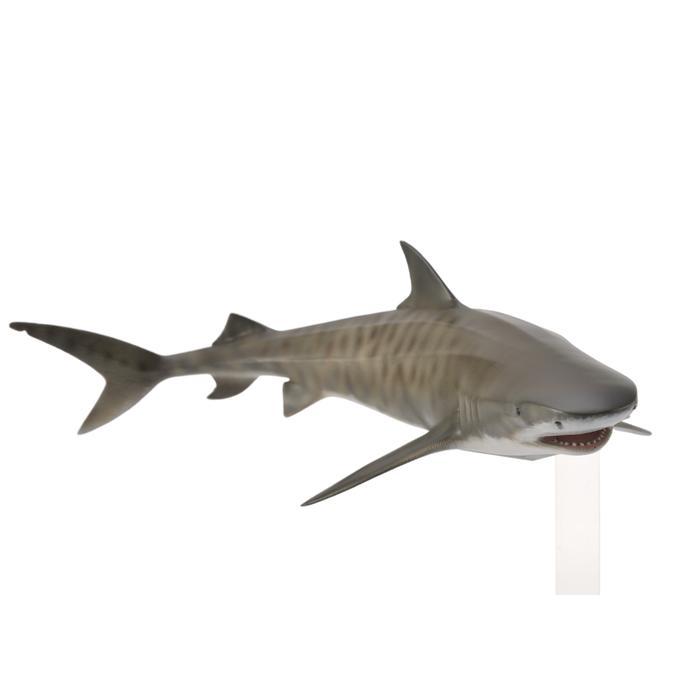 Collecta Figure Tiger Shark 88661 High Quality