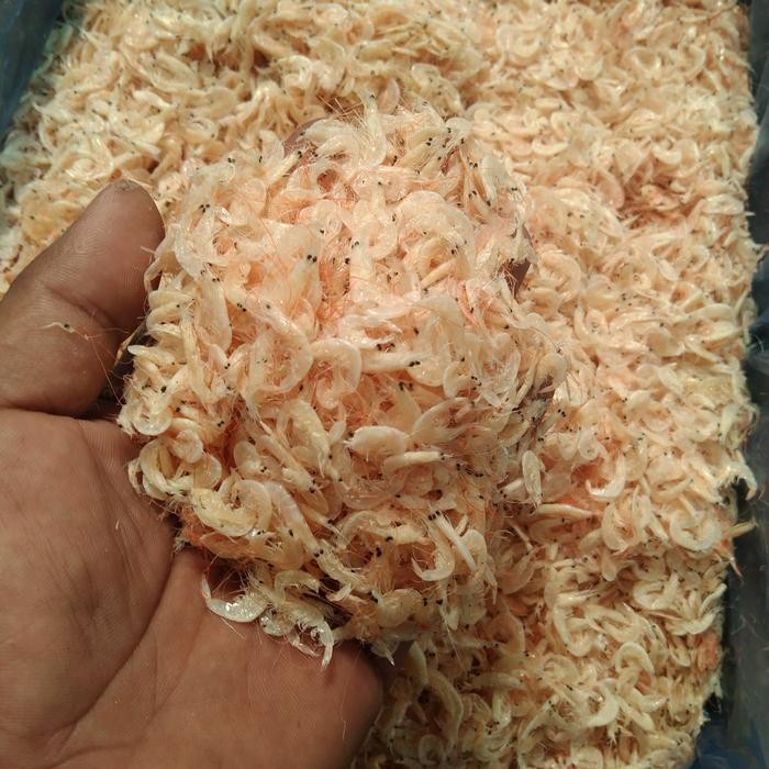 

ASLI Ikan asin rebon/rebon medan/ikan asin udang rebon READY STOCK