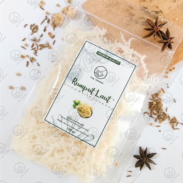 

Premium 100gr Rumput laut putih / Spinosum Cottoni / JSR 100% PREMIUM