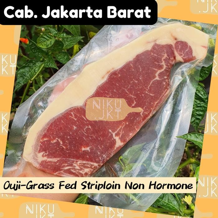

Pilihan- Daging Sapi Nz Striploin Non Hormone Free + Grass Fed Steak - 200Gr