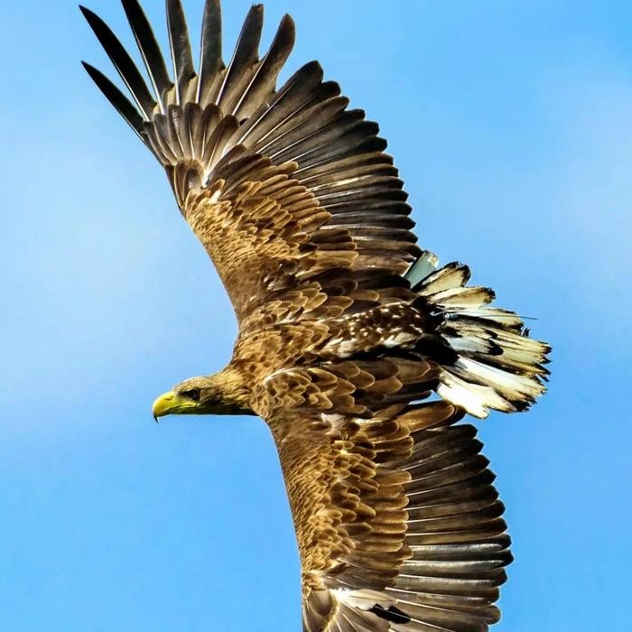 

BIAYA KIRIM JAKARTA BARAT TANGGERANG BINTARO