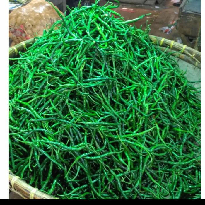 

Pilihan- Cabe Rawit Kriting Hijau Bagus