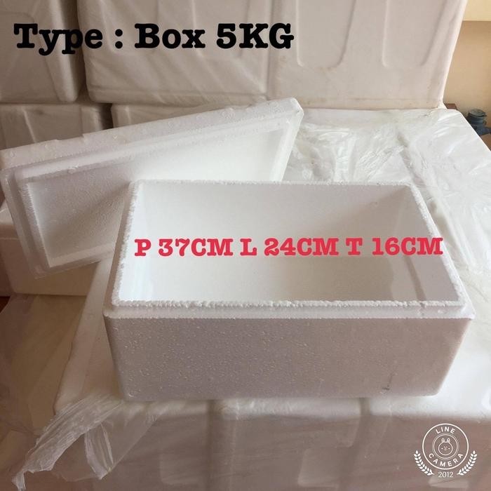Pilihan- Styrofoam Box 5 Kg Dimensi Panjang 37 Cm