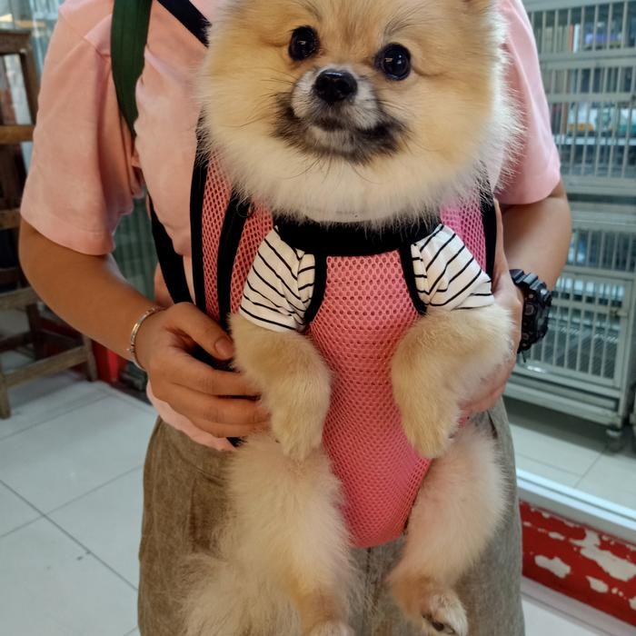 Ransel tas gendong jala untuk anjing kecil