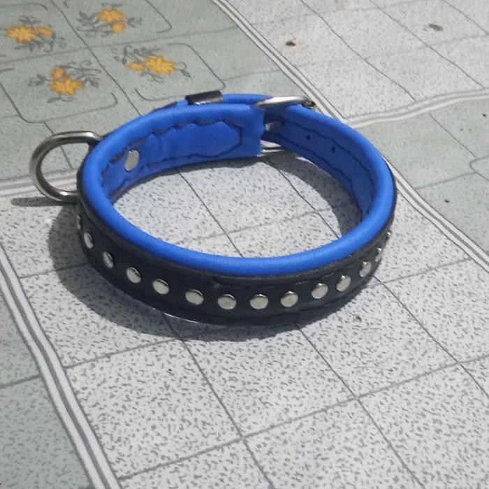 Kalung Anak Anjing,Kalung Anjing Kampung Ukuran 1,5 Jari Kulit Asli Promo 