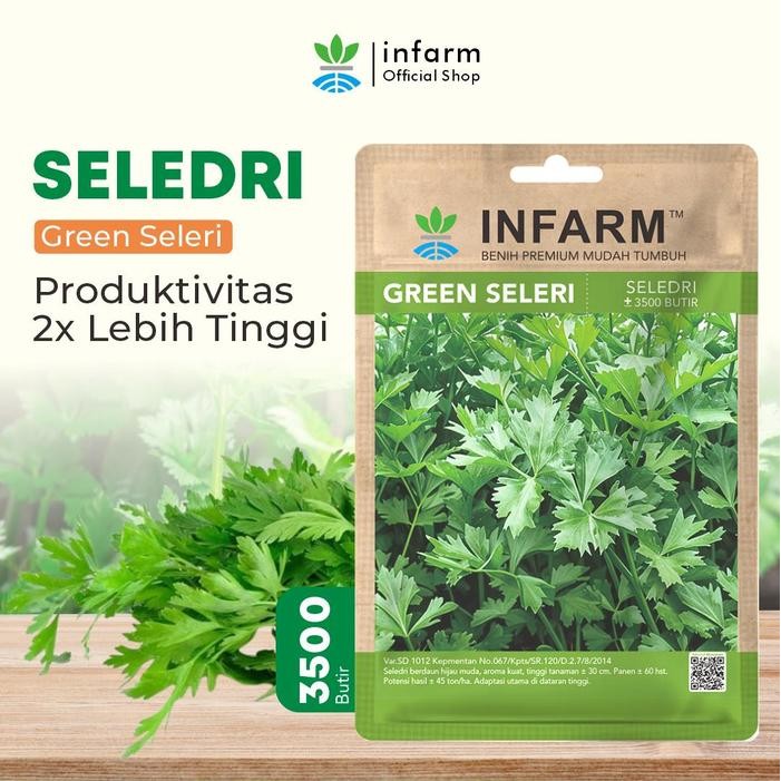 ID INFARM - BIBIT SAYURAN SELEDRI HIJAU BENIH SAYURAN BENIH SAYUR BIBIT TANAMAN SELEDRI HIJAU COCOK