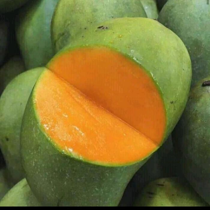 mangga harum manis matang pohon buah-buahan segar