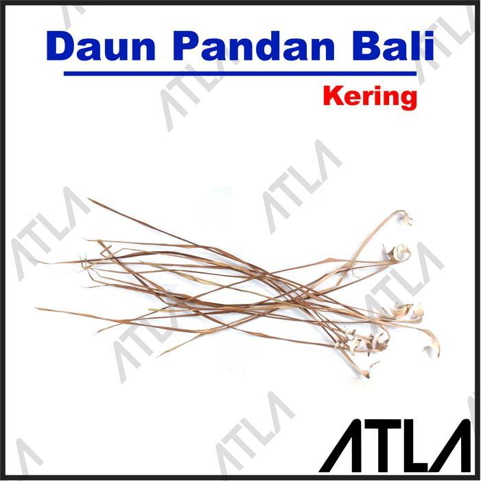 DAUN PANDAN BALI KERING TANAMAN KERAJINAN TANGAN ANYAMAN TIKAR TAS PROMO TERMURAH