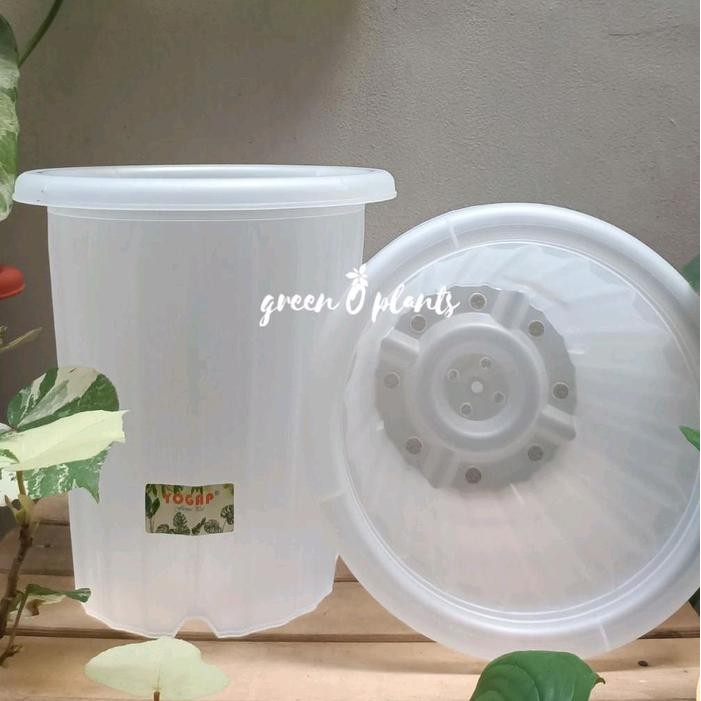 Grosir Pot Yogap YPT 18 Transparan Lusinan