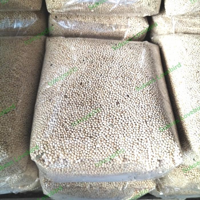 milet putih 1 kg pakan lovebird perkutut