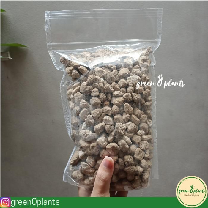 Pumice Besar Batu Apung Dasar Pot Size L 1Kg