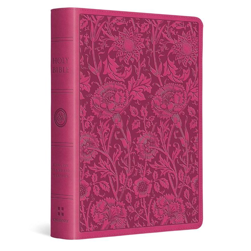 TERLARIS ESV Large Print Compact Bible (TruTone) LeatherSoft