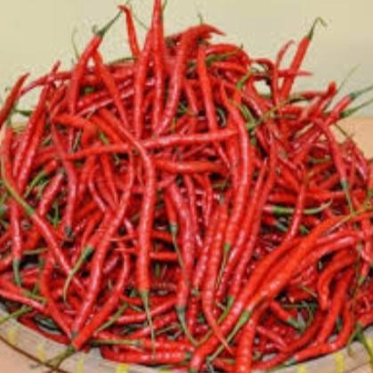 

Pilihan- Cabe Merah/Kering