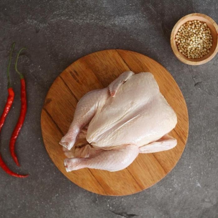 

Pilihan- Ayam Karkas Atau Ayam Potong Broiler Ukuran 0.9-1.0Kg