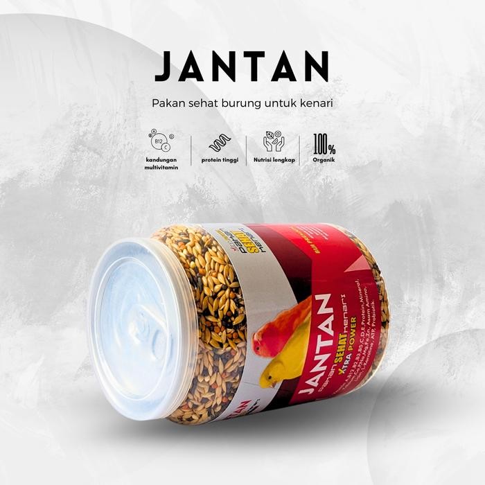 Promo Unclejarwoe Jantan Pakan Sehat Kenari Gacor Ngerek Ngisi Breeding Tbk