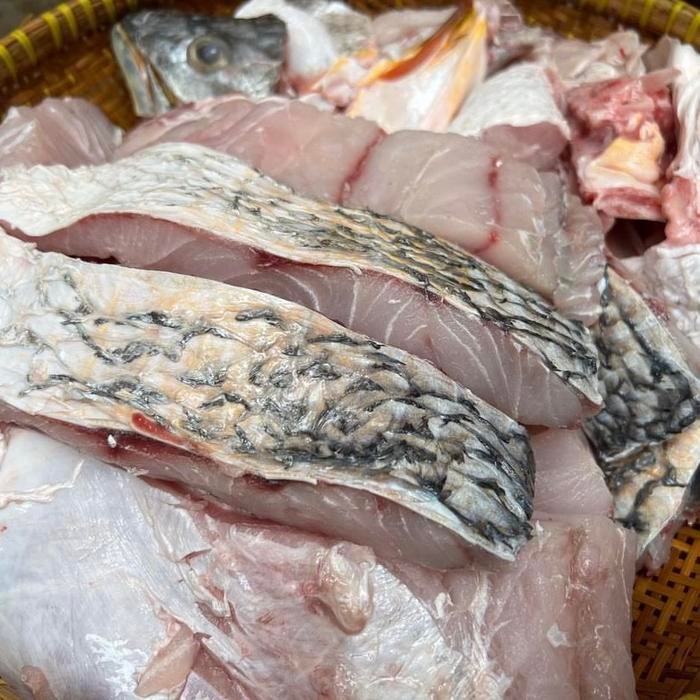 Instanbisa- Kakap Baramundi