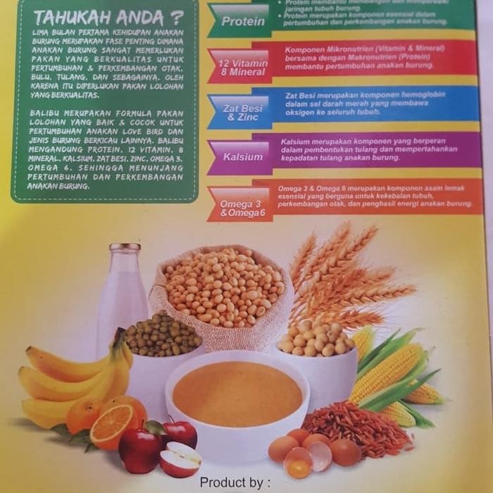 6yfd- Balibu Bubur Susu Lolohan Bayi Burung
