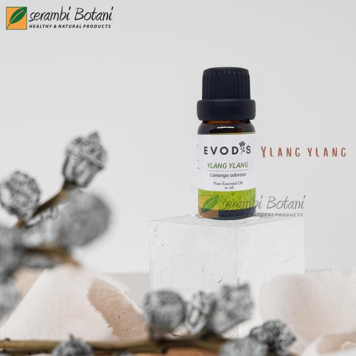 Essential Oil & Aromatheraphy Evodis Ylang Ylang