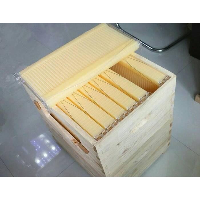 Paket Flow honey bee hive