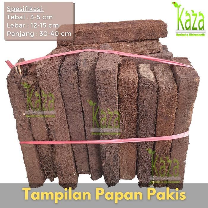 MURAH Papan Pakis Lempeng Ukuran Besar Media Tanam Anggrek