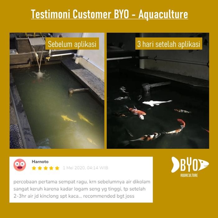 CLAY PREMIUM - PENJERNIH KOLAM KOI + BAKTERI PROBIOTIK STARTER / CLAY KOI - 800 GRAM