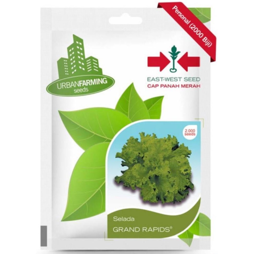 Benih Panah Merah - Selada Grand Rapids