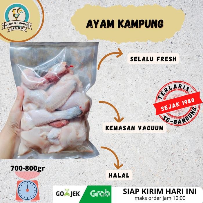 Pilihan- Ayam Kampung Potong Segar Sehat Bersih Asli Bandung Sehat Dan Enak