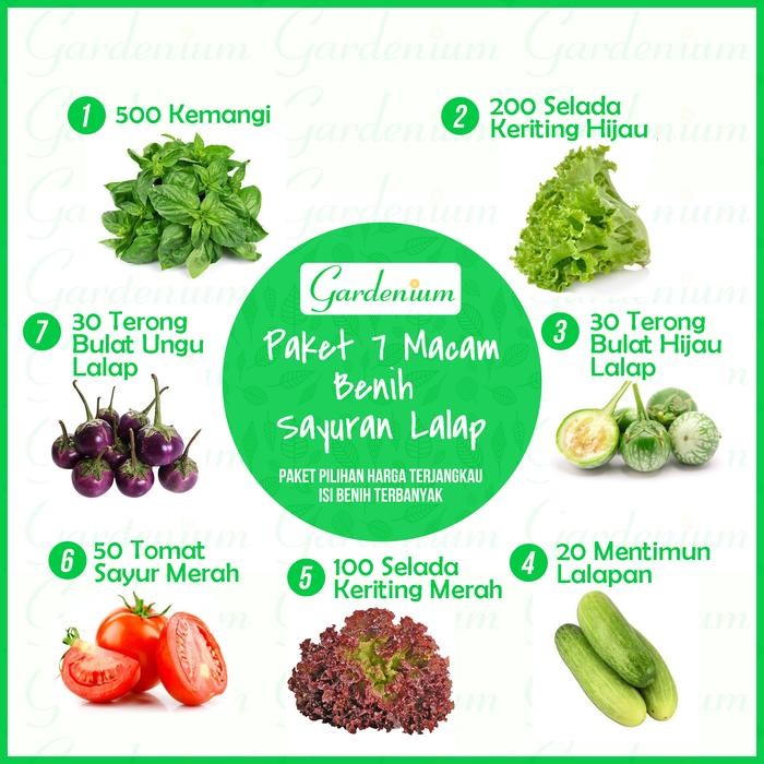 Paket 7 Macam Benih Sayuran Lalap ( Kemangi Terong Selada Merah Mentimun Tomat Sayur )