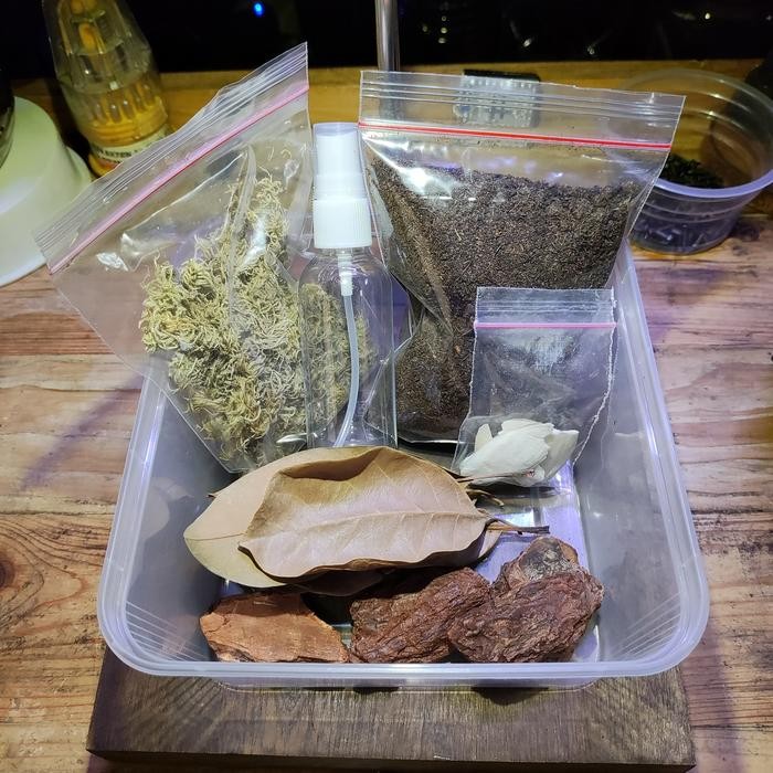 STARTER PACK ISOPOD PAKET KANDANG ISOPOD