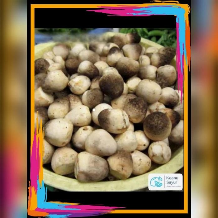 

Pilihan- Jamur Merang 250Gr