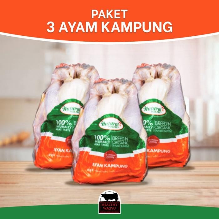 

Pilihan- Paket 3 Ayam Kampung Probiotik Natural Poultry