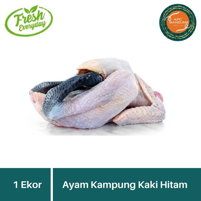 Pilihan- Ayam Kampung Asli Kaki Hitam Utuh Fresh Size Besar