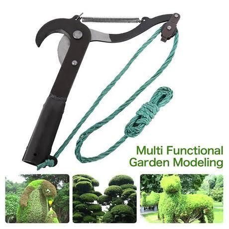 Gunting dahan pohon tinggi