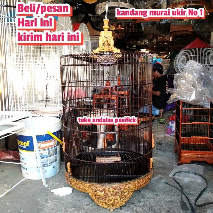 kandang burung murai no 3/kandang murai no 3 ukir viber/kandang murai