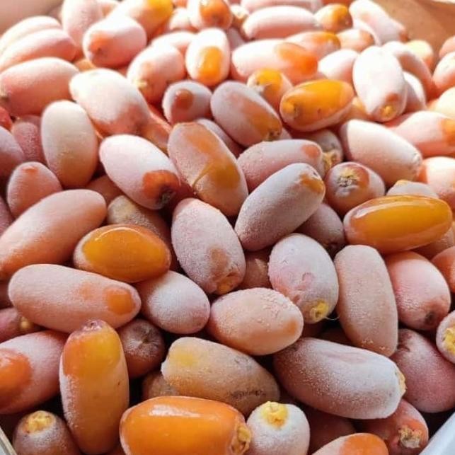 Pilihan- Kurma Ruthob Kurma Fresh Langsung Dari Libya - 2Kg