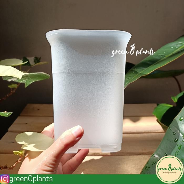 Pot NKT Kotak 12 Bening