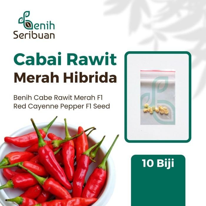TERLARIS 10 Bibit Cabe Rawit Hibrida F1 Lentera Benih Cabai Rawit Merah Setan READY STOCK