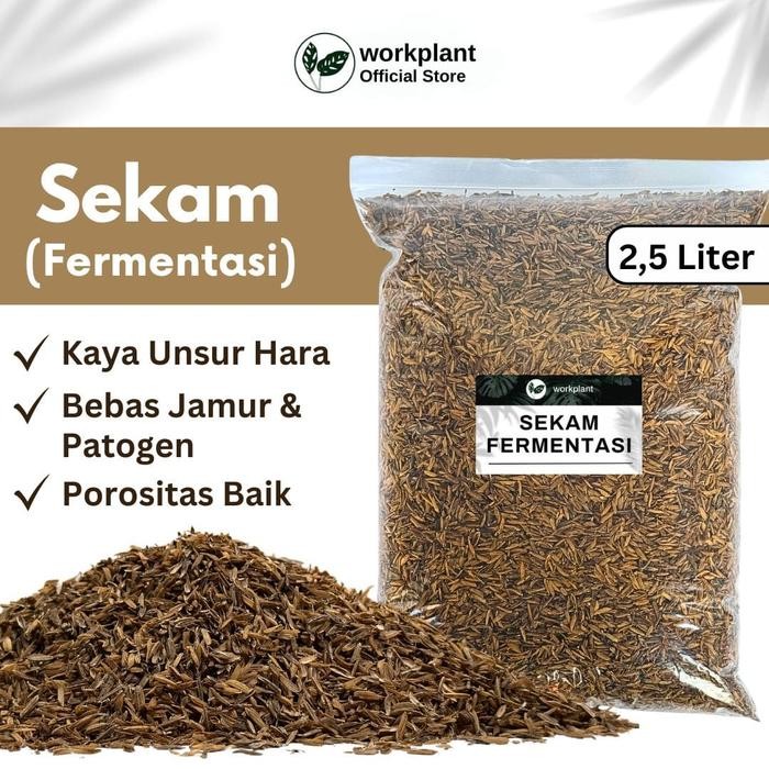 Stok Baru Workplant - Sekam Fermentasi Media Tanam Siap Pakai untuk Tanaman Hias Aglonema