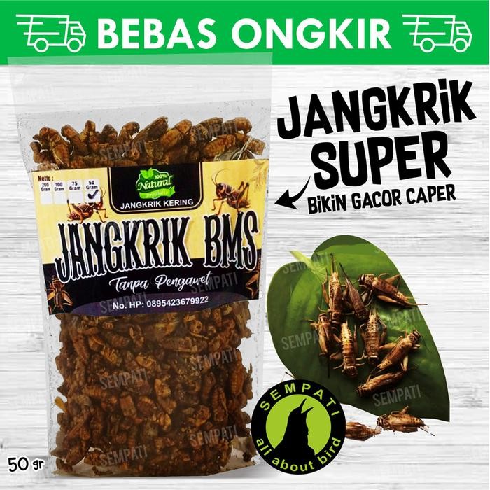 ces0- Sempati Jangkrik Kering 50 Gram Pakan Burung Murai Kacer Anis Pipit Kutilang Ciu