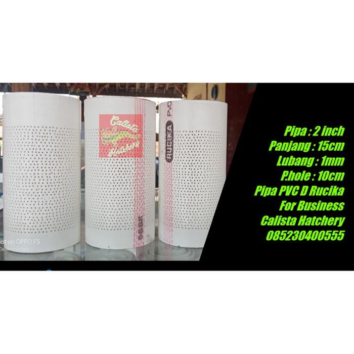 PetShoPq- Pipa Saringan Kolam Paralon 2 Inch Panjang 15Cm Lubang 1Mm