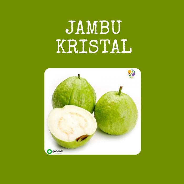 Eat77- Jambu Kristal Non Biji Manis Fres Bandung 1Kg