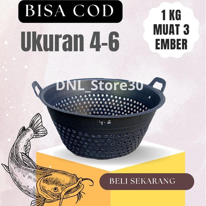 ember sortir ikan lele /ember lele/ikan lele/bak sortir lele/bak ikan/wadah ikan lele/bak ikan sorti