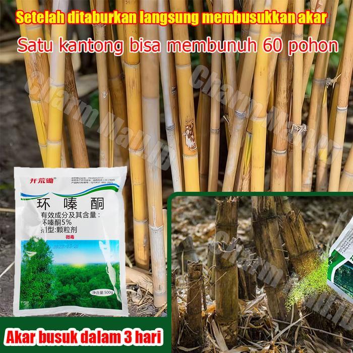 Racun rumput paling ampuh racun pohon besar ampuh herbisida pembasmi rumput liar Racun Bambu tree