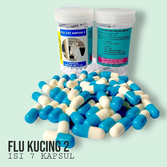 Flu Kucing Flu Care Vitamin Obat Flu Cat Virus Kucing Diskon Sale