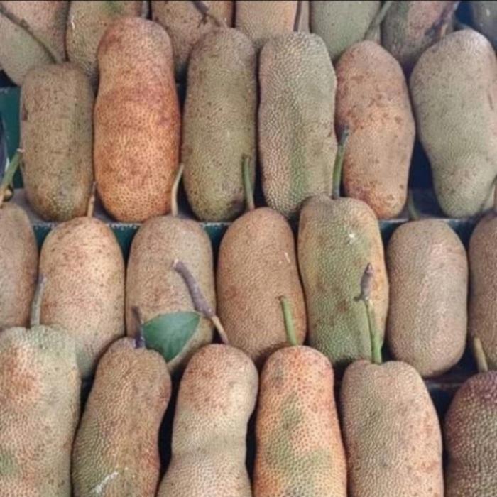 Buah Cempedak Segar Dan Manis