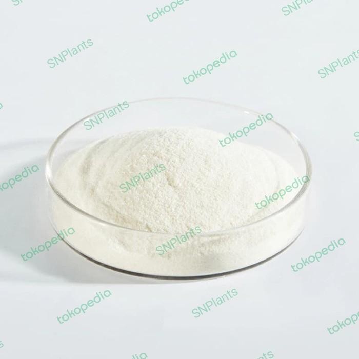 

Promo Agar - Agar Untuk Media Kultur Jaringan Diskon